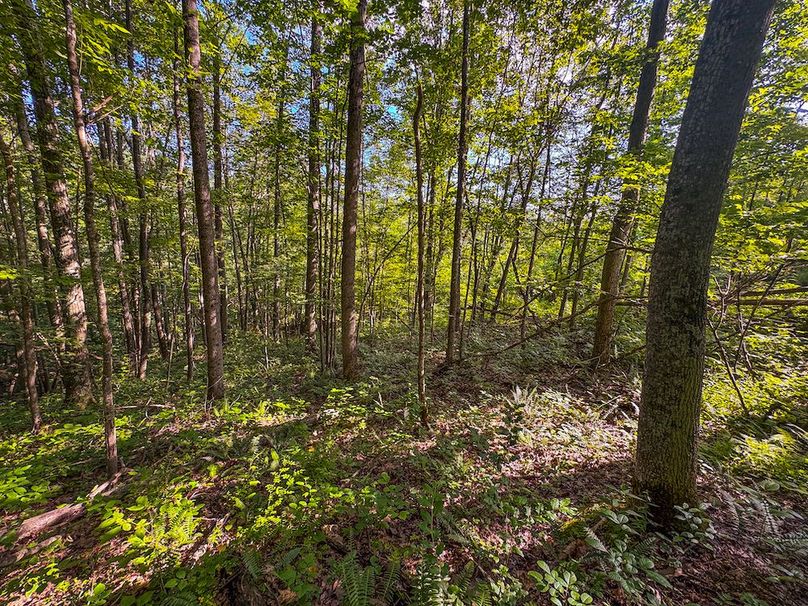 Lewis, WV 82.87 AC Barger-104