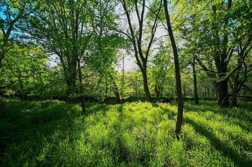 vandalia 450 (2)-3029