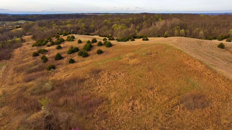 DJI_20250331081220_0635_D