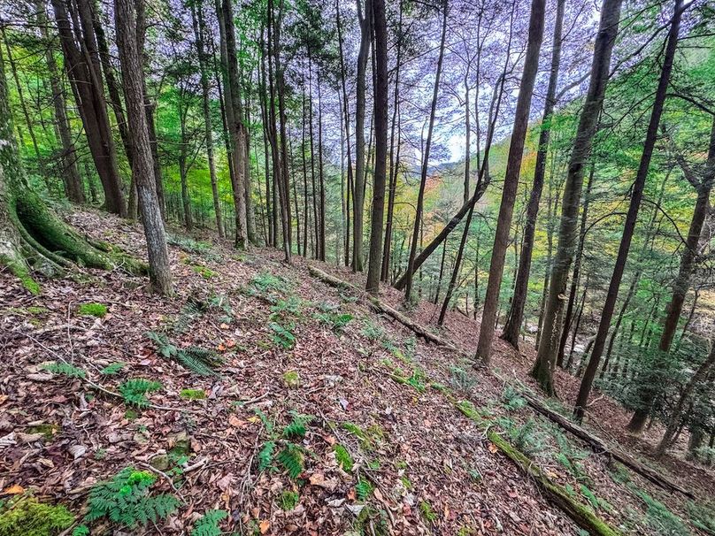 Webster, WV 13.8 AC Heldreth-14