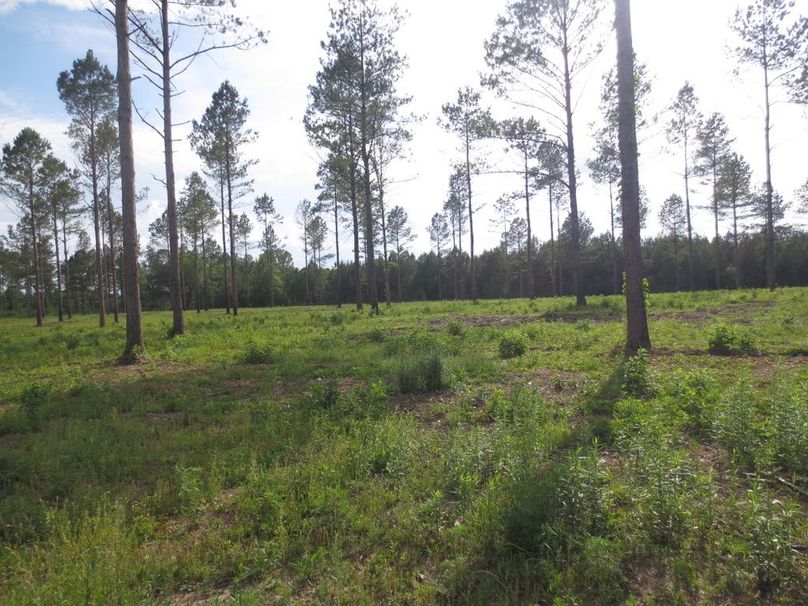 EB64C4E8-102D-43DD-884C-5D09D75B63F9_1_105_c