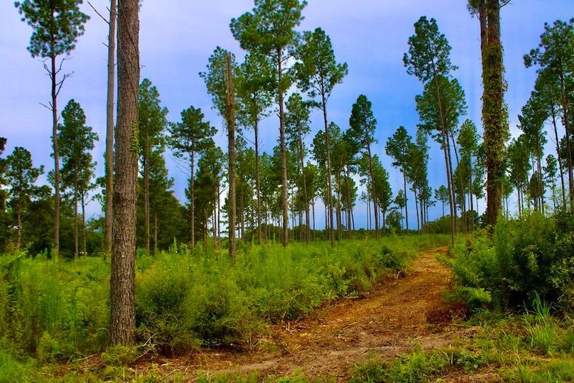 D0706BAE-146E-4C76-A979-923E68829CCD_1_105_c