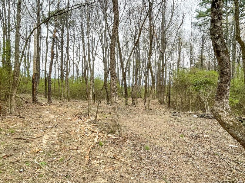 98BE0A77-9CCE-496C-810F-12C7AAD48B28