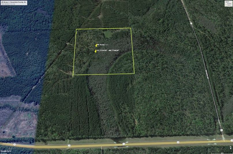 Aerial #2 Approx. 40 Acres Escambia County, AL