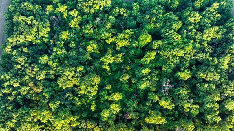 Copy of DJI_20250703172753_0030_D