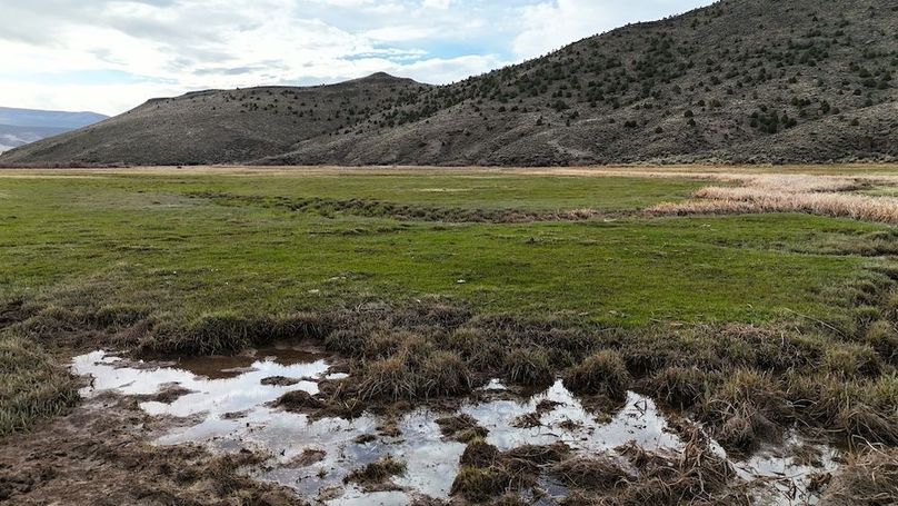 Lucky River Bottom Ranch13