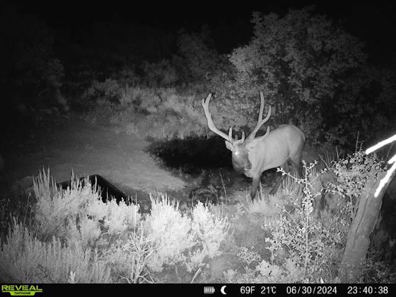 860516060007964-100-2-06302024234038-V-W1001656