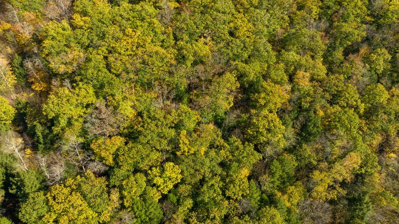 Elk PA 7000 Feature_Pro Photo-110