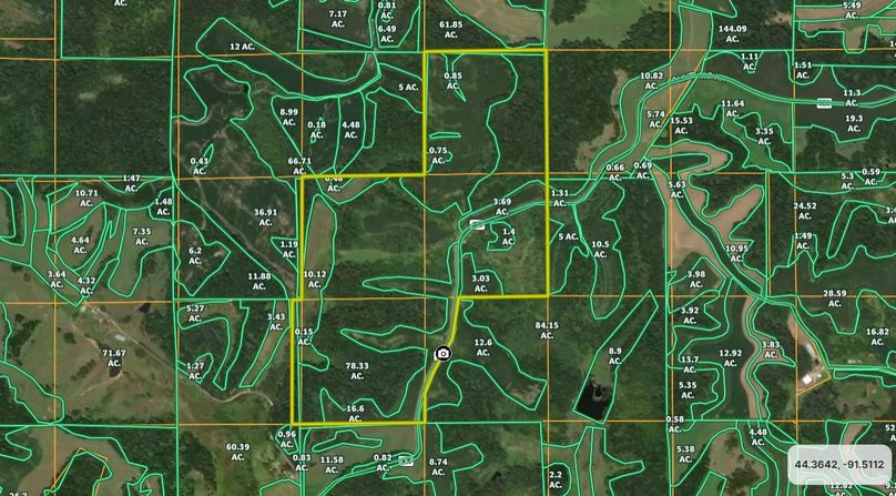 Screenshot 2024-02-01 170343