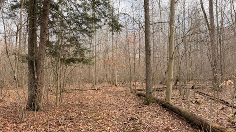 DE037F6C-E76E-4389-A7CB-D3F394E44AF3_4_5005_c