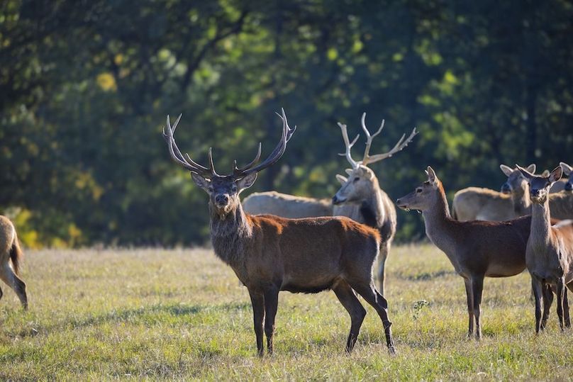 21 harrison 417ac pics-065