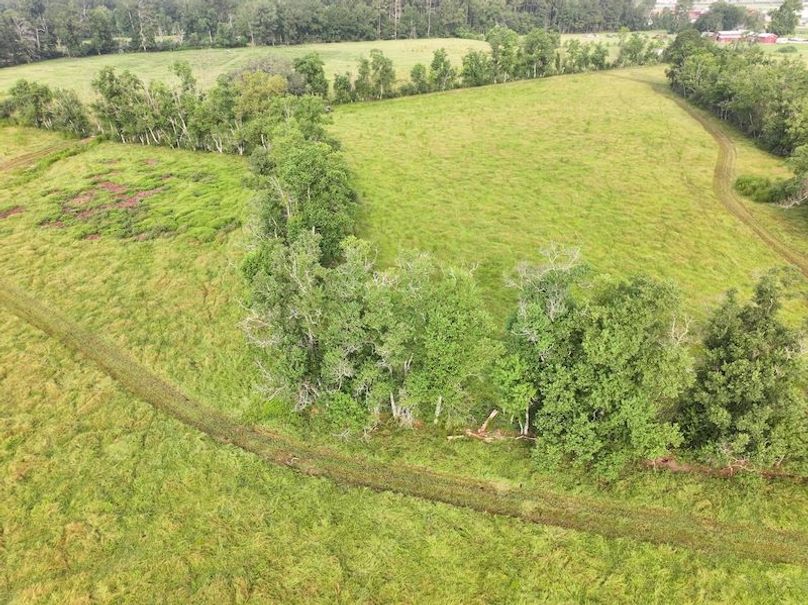 dji_fly_20250730_083552_0316_1753888799306_photo