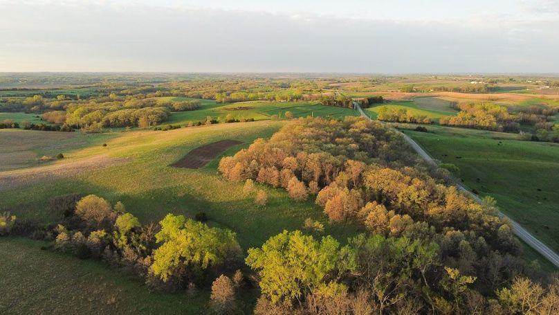 MONTGOMERY CO IA. 156.78_10