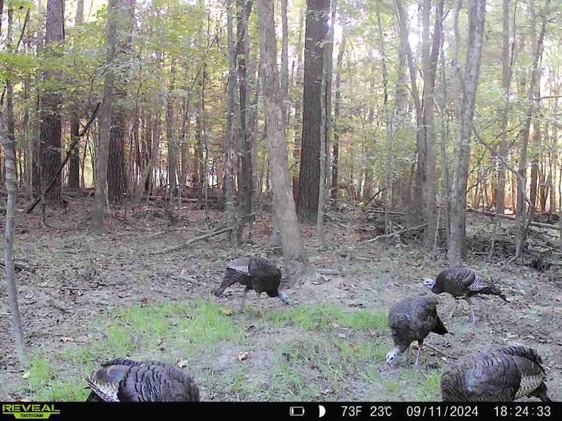 867490071175496-10-3-09112024182432-W1003309_8248441284924