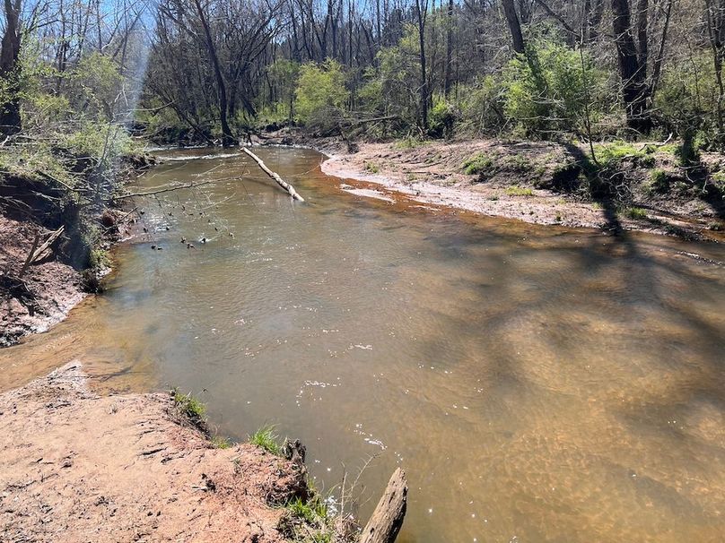 029 Thicketty Creek