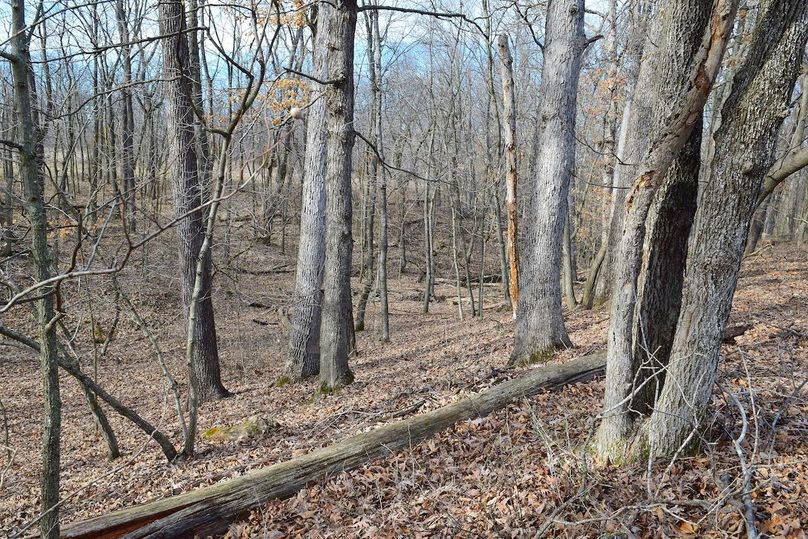 DSC_0306_inPixio (2)