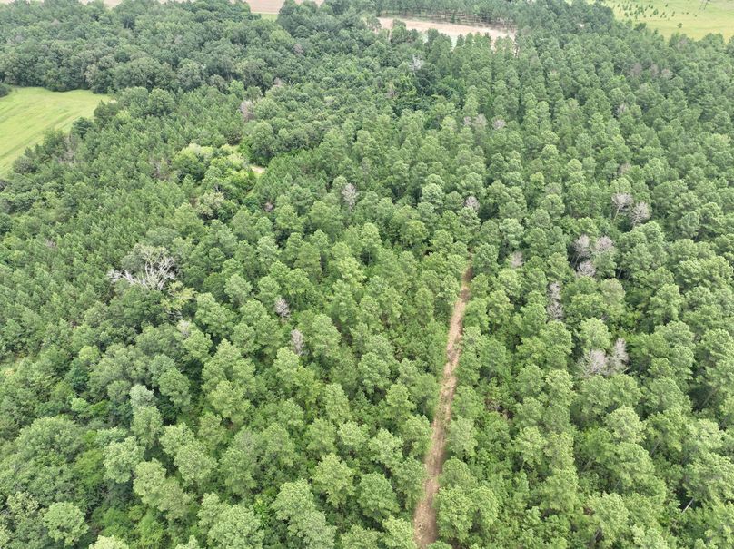 dji_fly_20230703_134144_347_1688406271026_photo