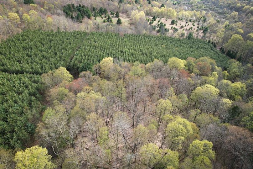 Tioga_76.65_Matyjas_Photos_34