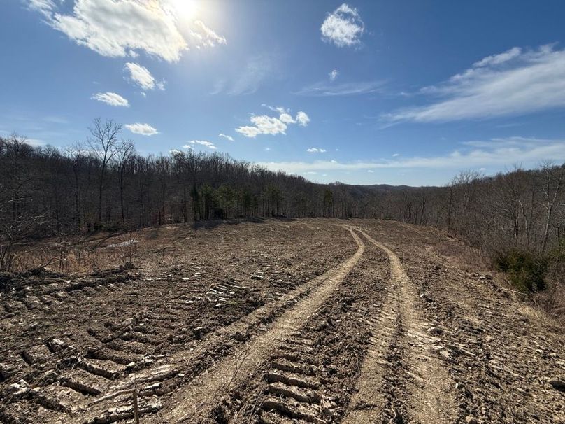 009 some of the recently graded and cleared open ground near the west boundary