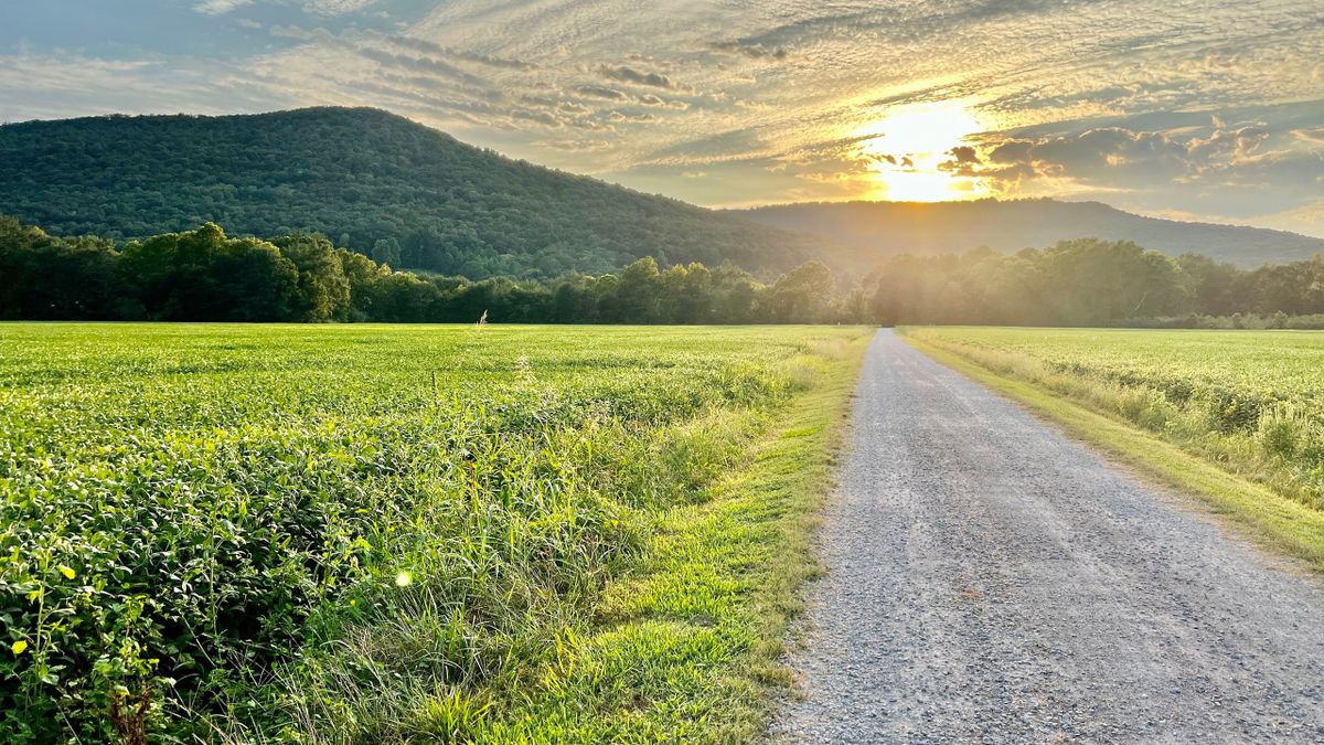 Productive Tillable Farm With Flowing Creek And Homesite Potential In