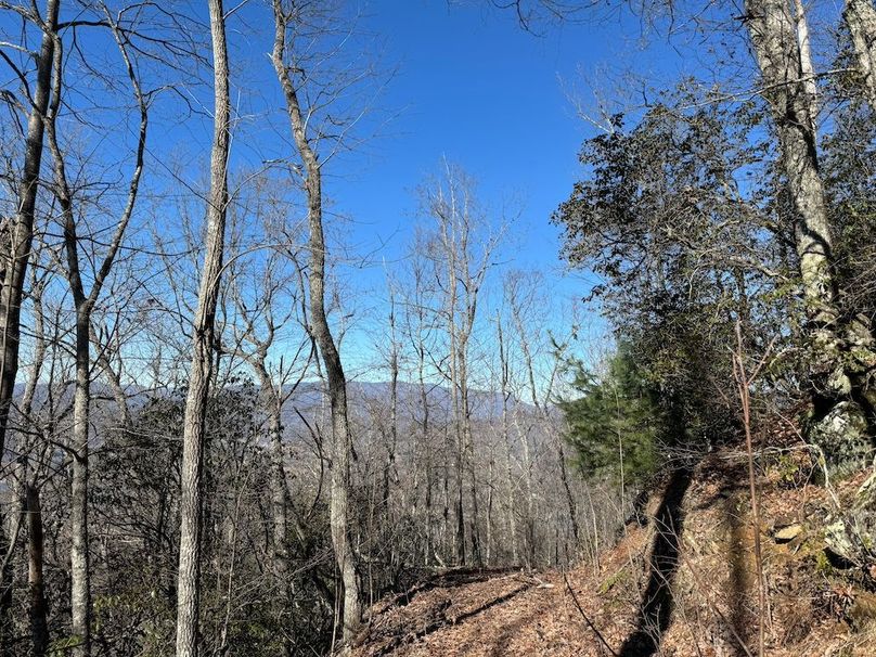 033 Clay 124.76 Fleaback-25