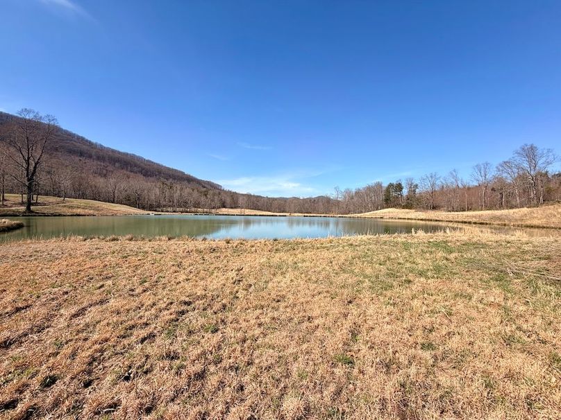 Morgan Co TN 310.833 Schneller_89