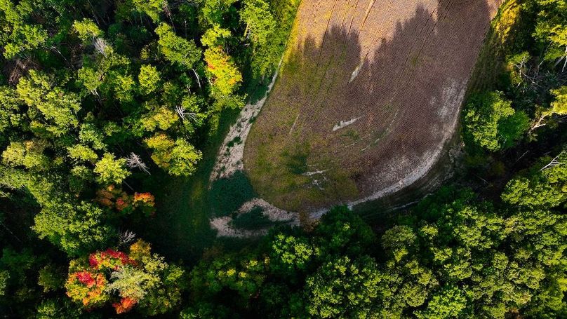 dji_fly_20250917_085300_0521_1758113879740_photo