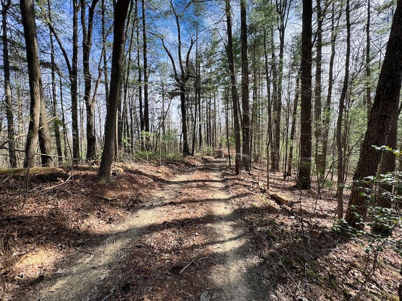 010 nice view looking south down the path
