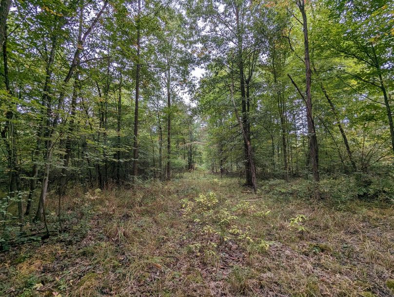 PXL_20230925_223700279