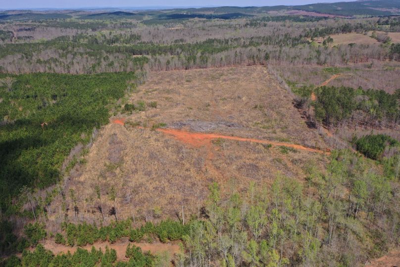 Copy of 400ftCardinal-3