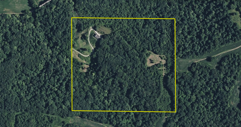 Screenshot 2025-10-08 at 9.11.08 AM