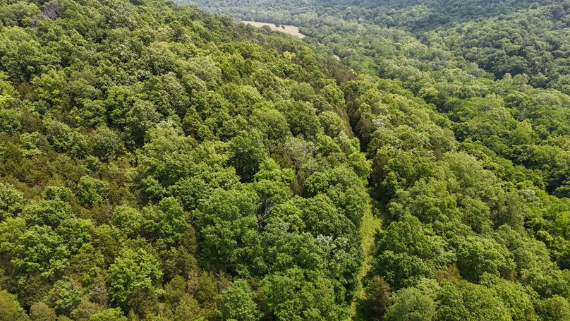 DJI_20250604132624_0014_D