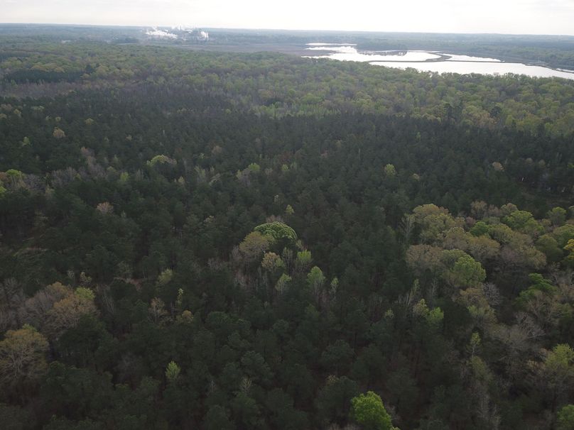 DJI_0009