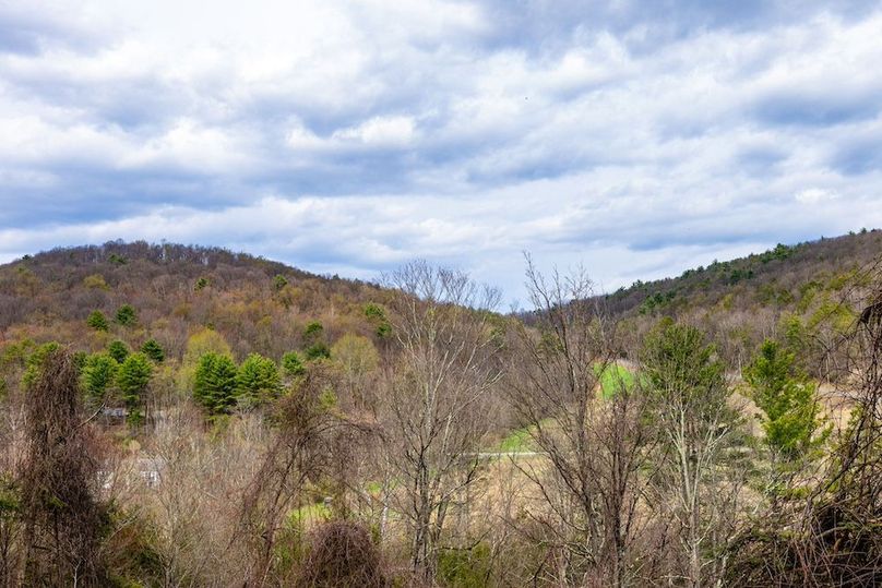 52-web-or-mls-IMG-52