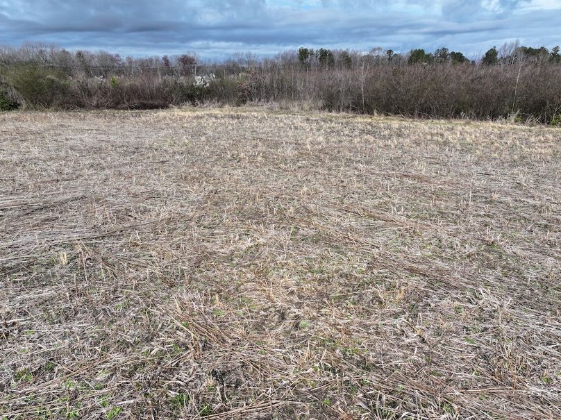 DJI_20240305095452_0034_D