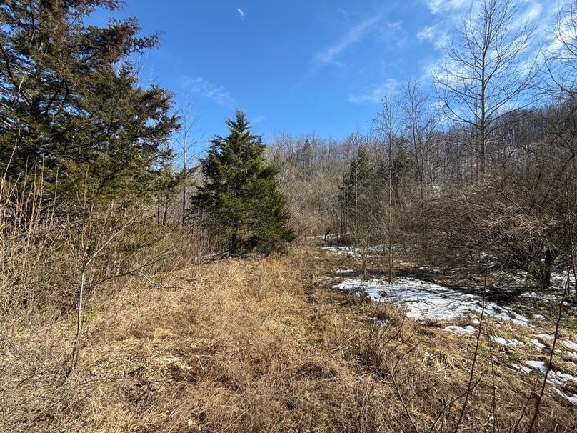 024 the open field areas near the creek in the valley along the west boundary