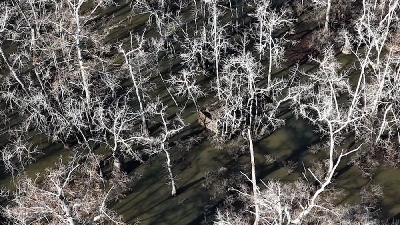 swamp20260501_0205