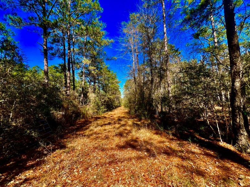 7E20AF7B-8F17-4A11-8B32-1E1D1EAD8EE6_1_201_a