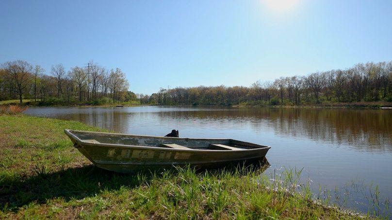 WILLIAMSON, IL 65.00_01_27_06.Still011
