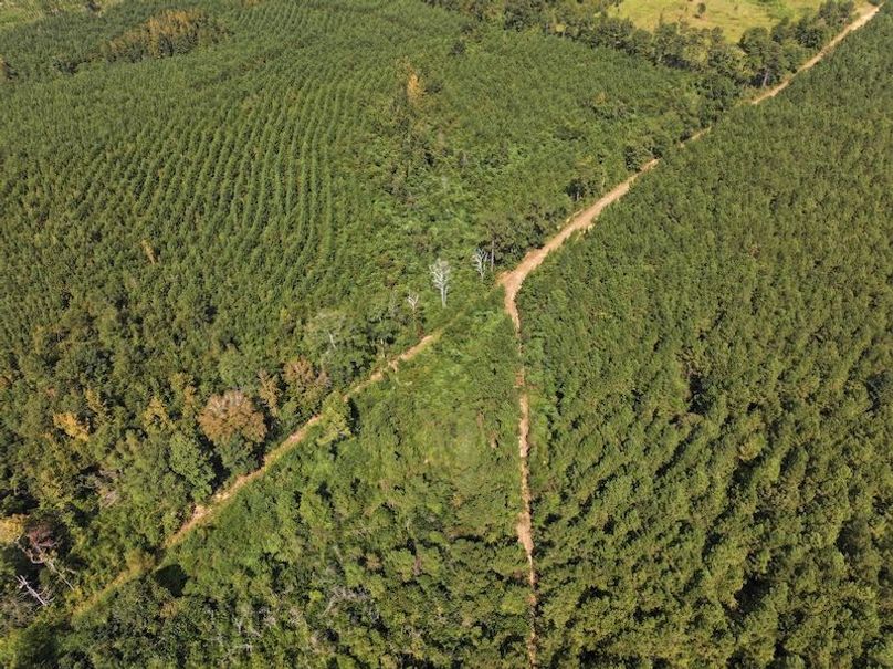 dji_fly_20250915_151230_0472_1758029011960_photo