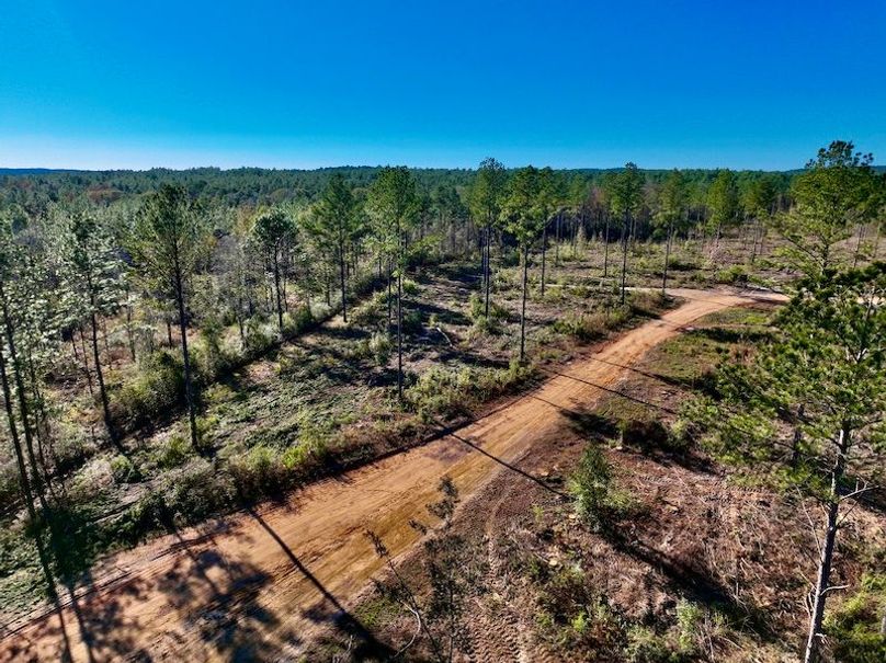 11530EFC-7C1E-4427-81FE-8A97E36C6B86_1_201_a