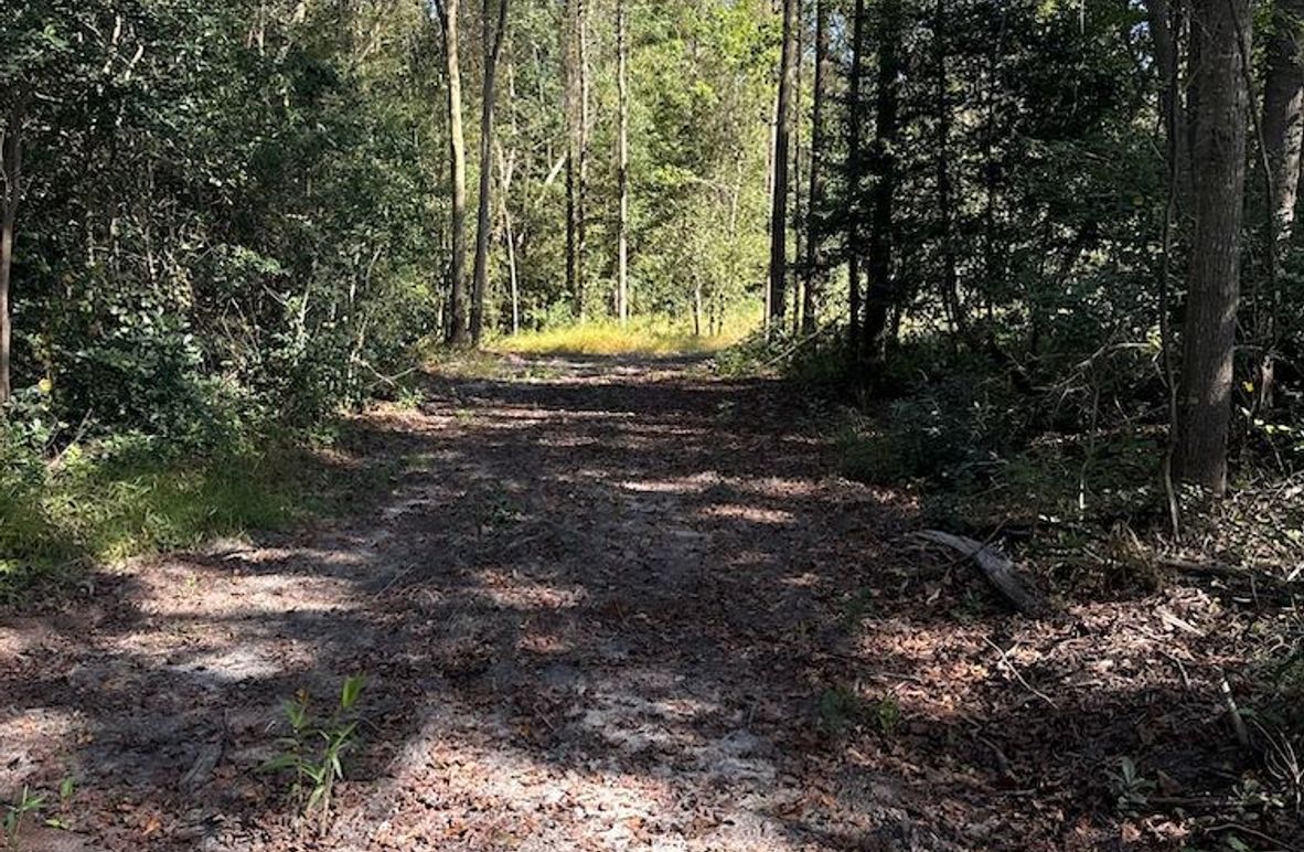 DJI_20251003_104316_628