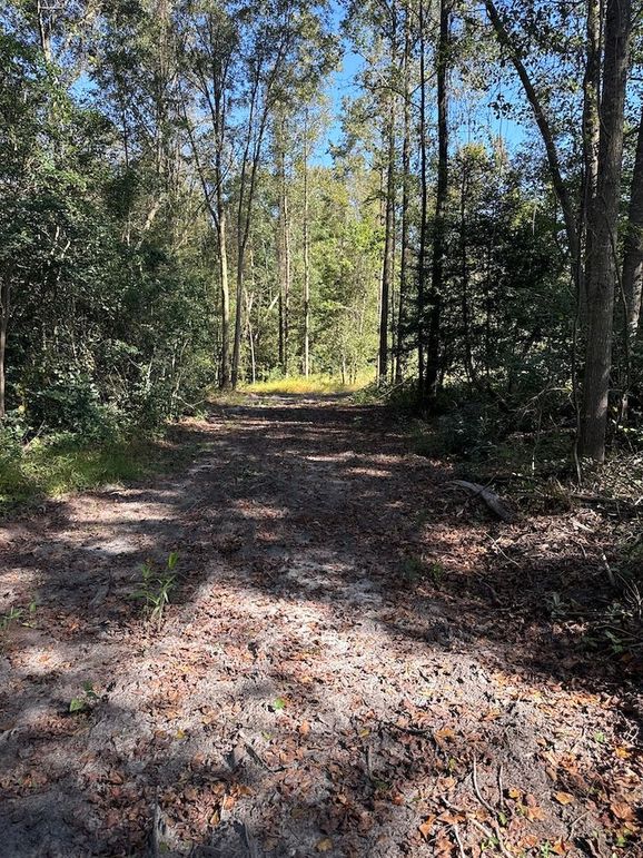 DJI_20251003_104316_628