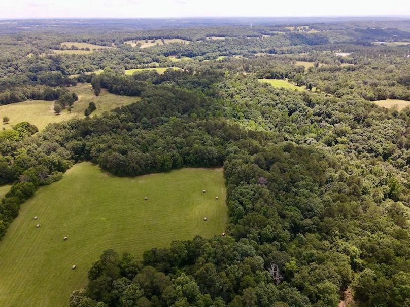 DJI_0037