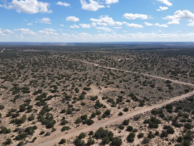 pic5.dji_fly_20231028_115840_234_1698519540774_photo