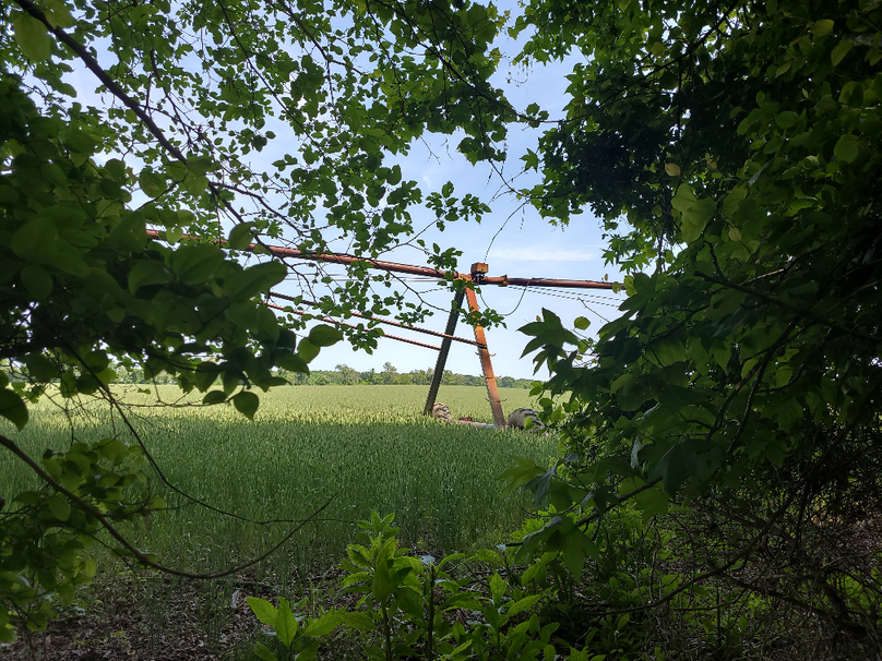 26.48ac_McKenneyLn_QAnnes_15