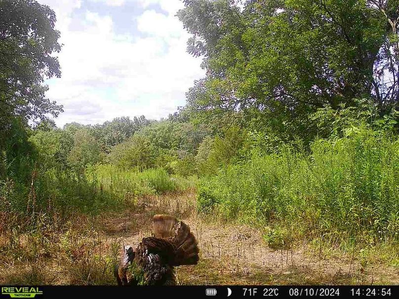 868032069609810-100-4-08102024142454-V-W1002629