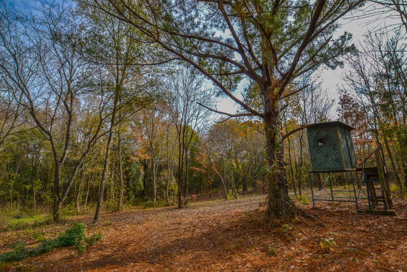 Hunting And Recreation Hideaway In East Texas Whitetail Properties