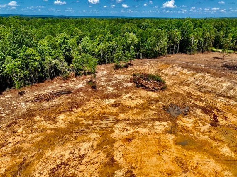 A92D19D9-835A-4DC2-9C44-BC1B4C5058A9_1_105_c