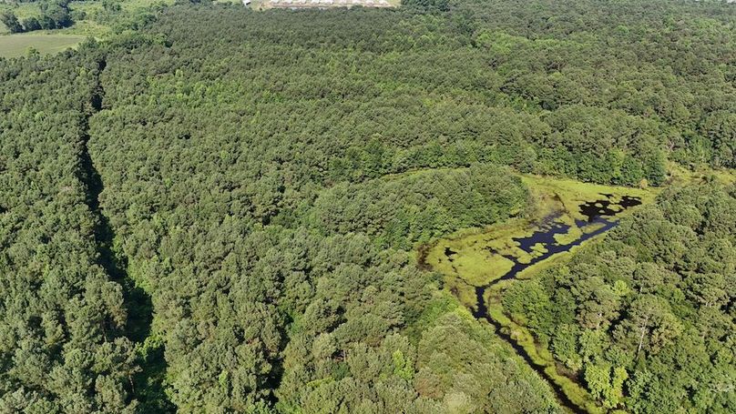 DJI_20250627095451_0108_D